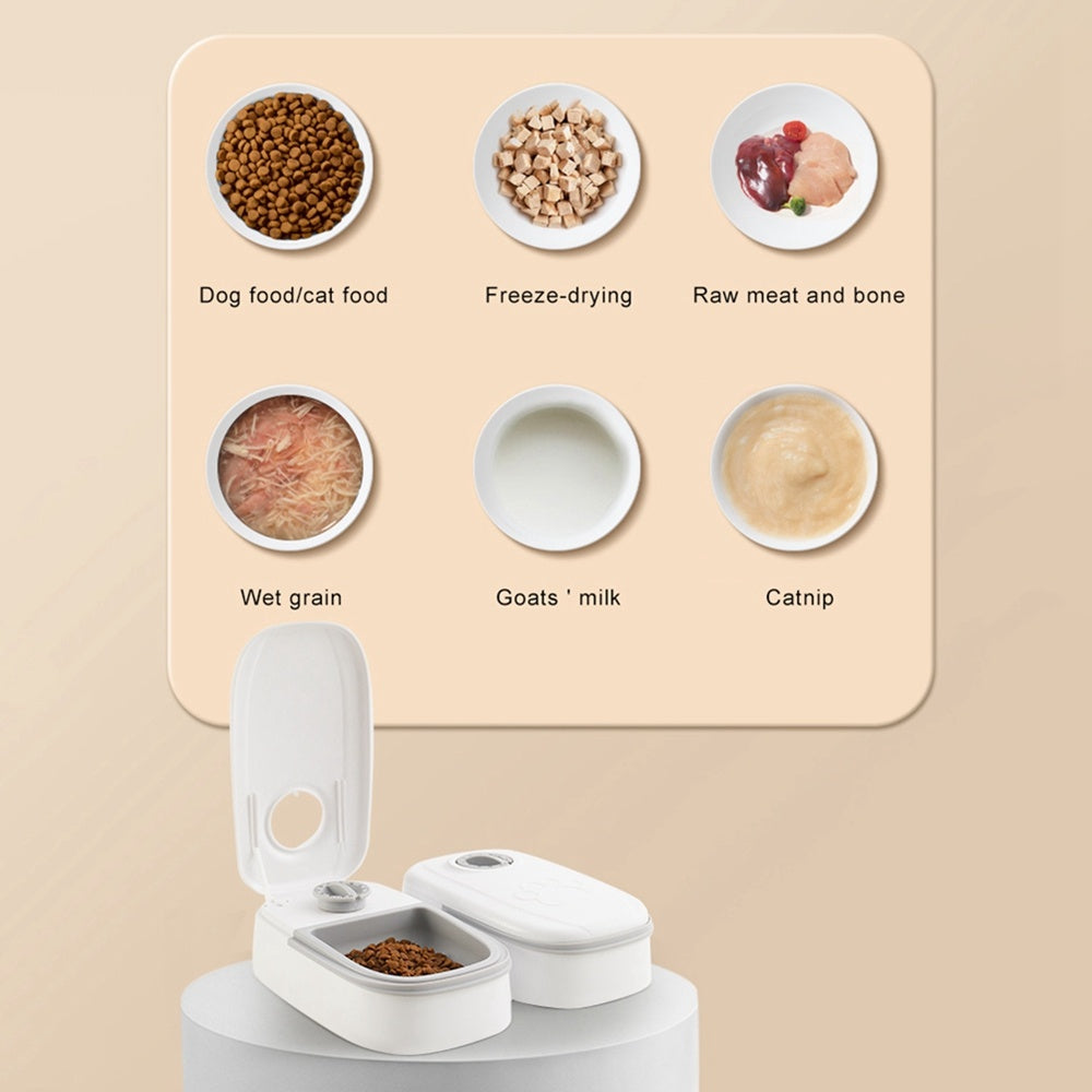 Smart Food Dispenser - The Best Companions