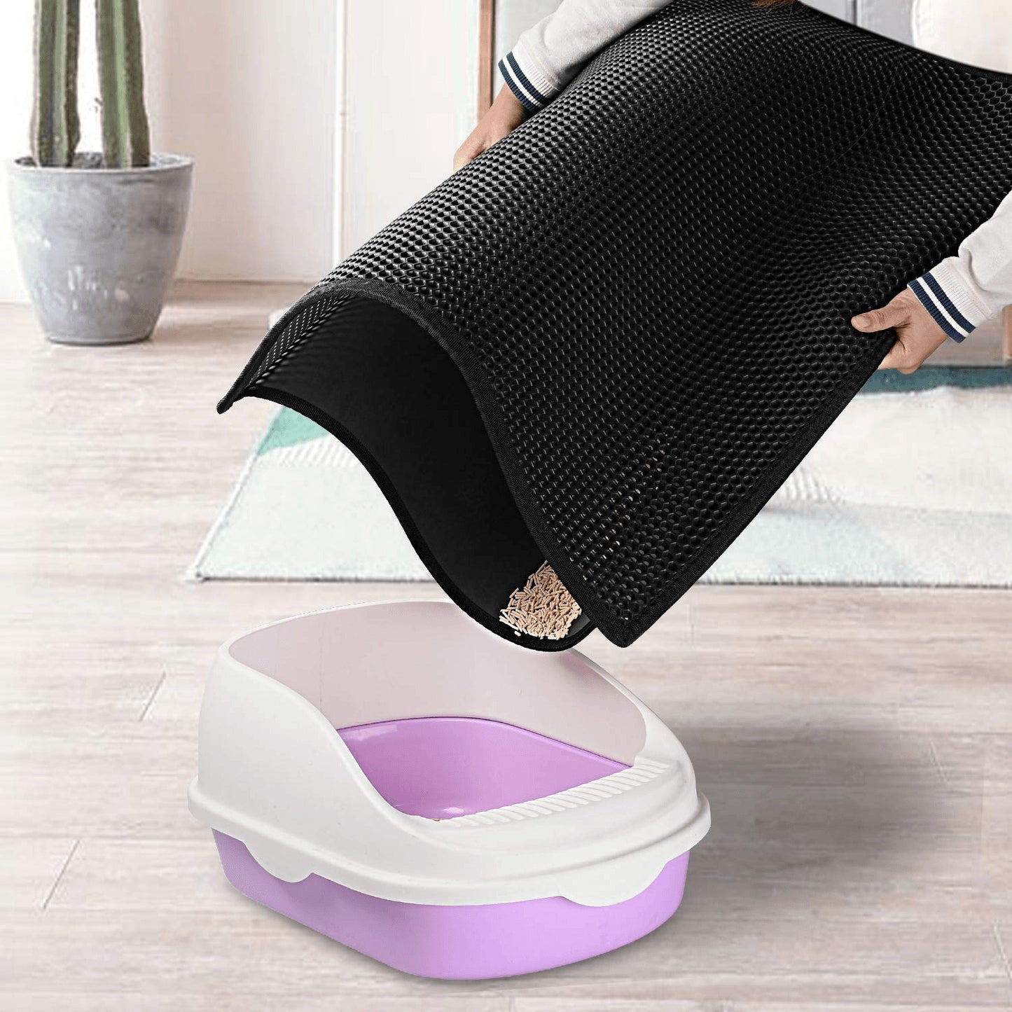 Cat Litter Mat - The Best Companions