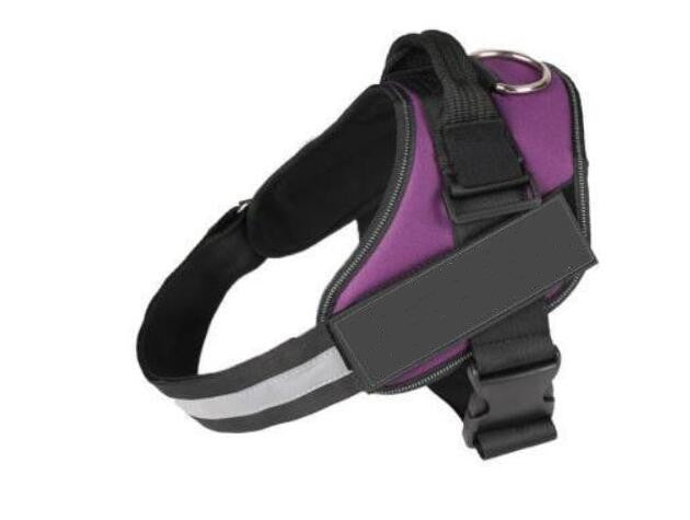 Personalized Reflective Dog Harness - The Best Companions