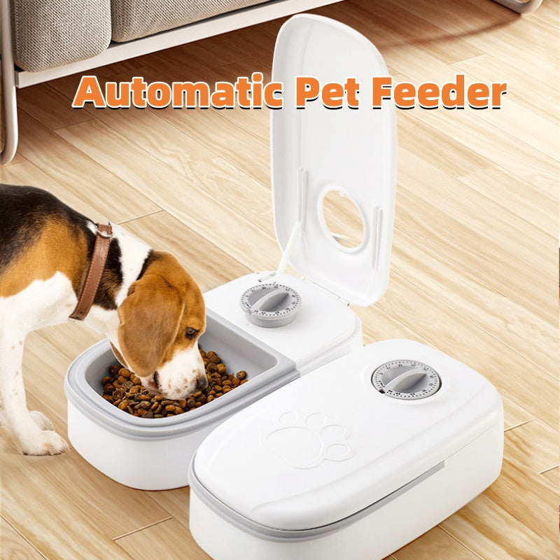 Smart Food Dispenser - The Best Companions