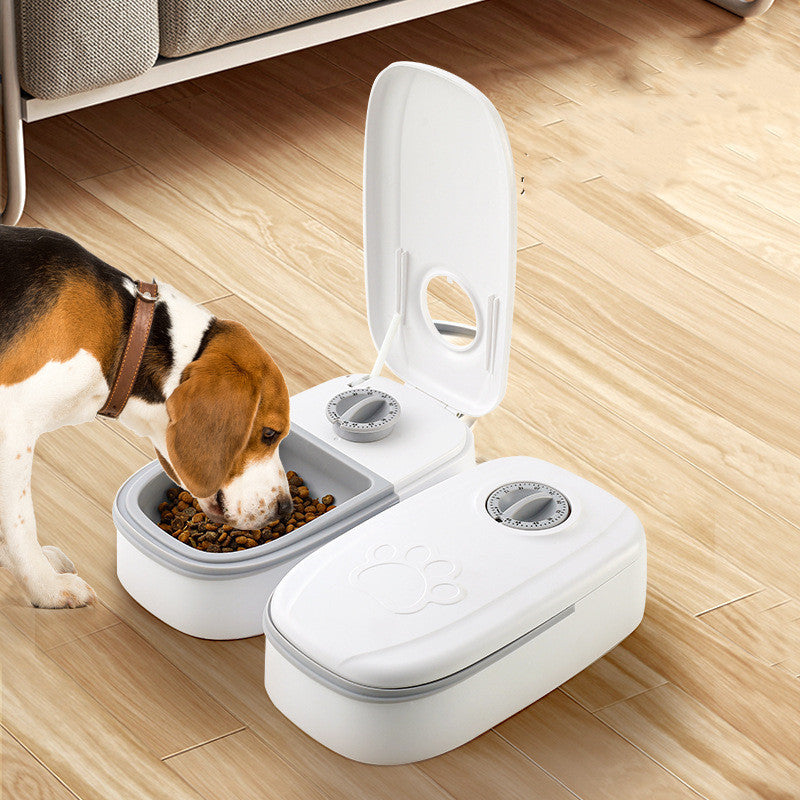 Smart Food Dispenser - The Best Companions
