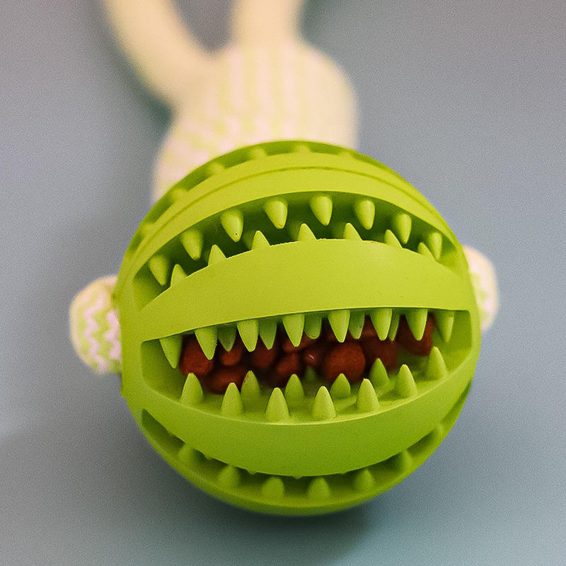 Bite Resistant Toy Ball For Pet - The Best Companions