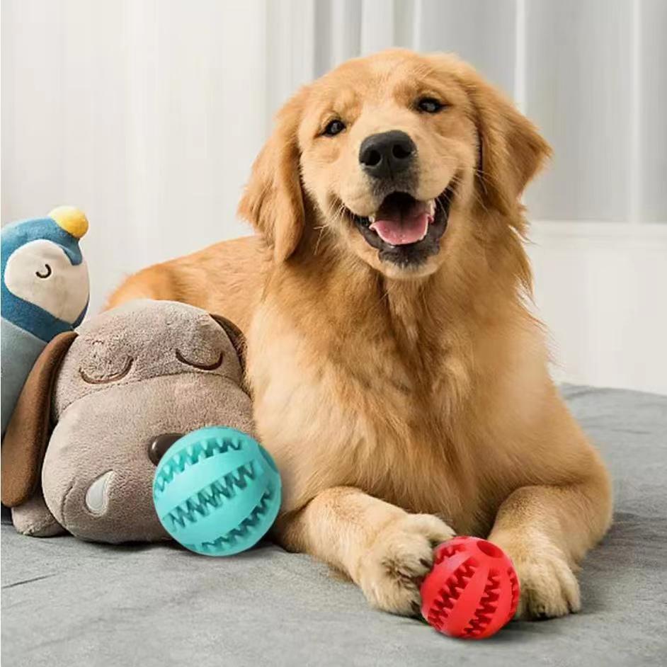 Bite Resistant Toy Ball For Pet - The Best Companions