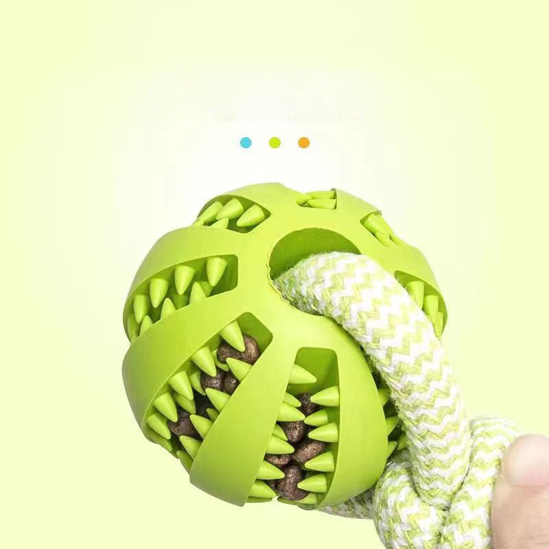 Bite Resistant Toy Ball For Pet - The Best Companions