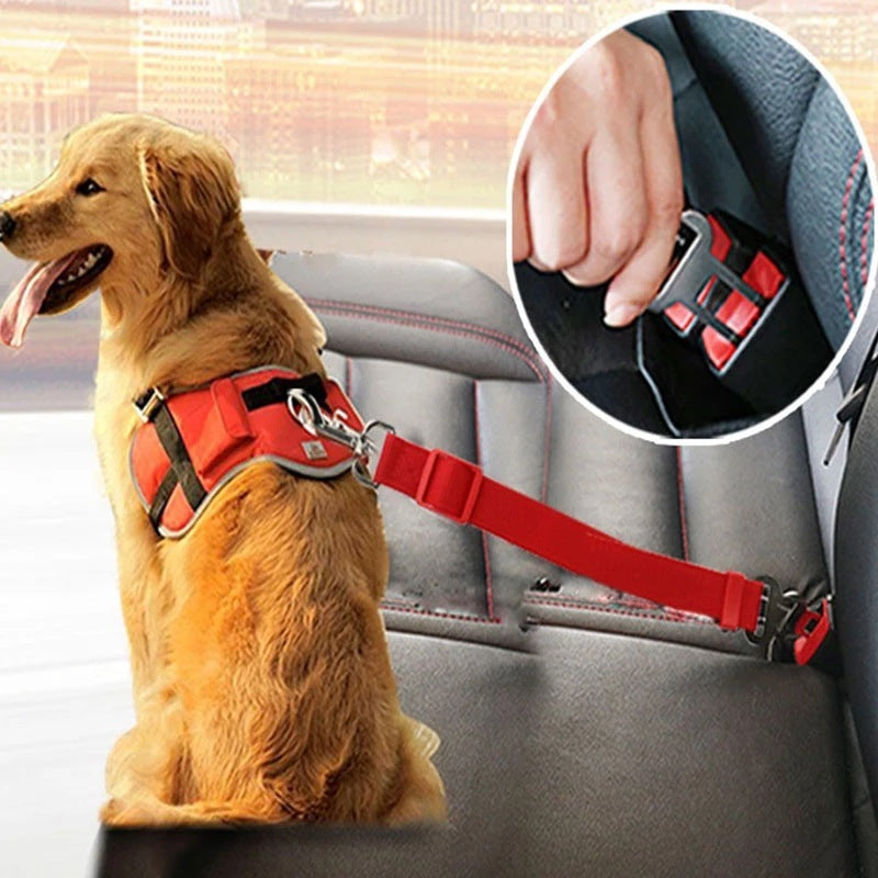 Car Adjustable Dog Harness - The Best Companions