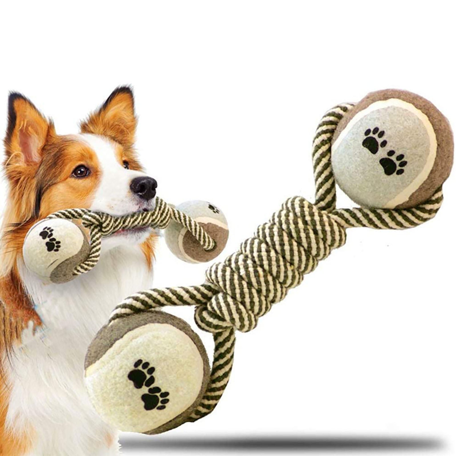 Dog Interactive Rope Toy - The Best Companions