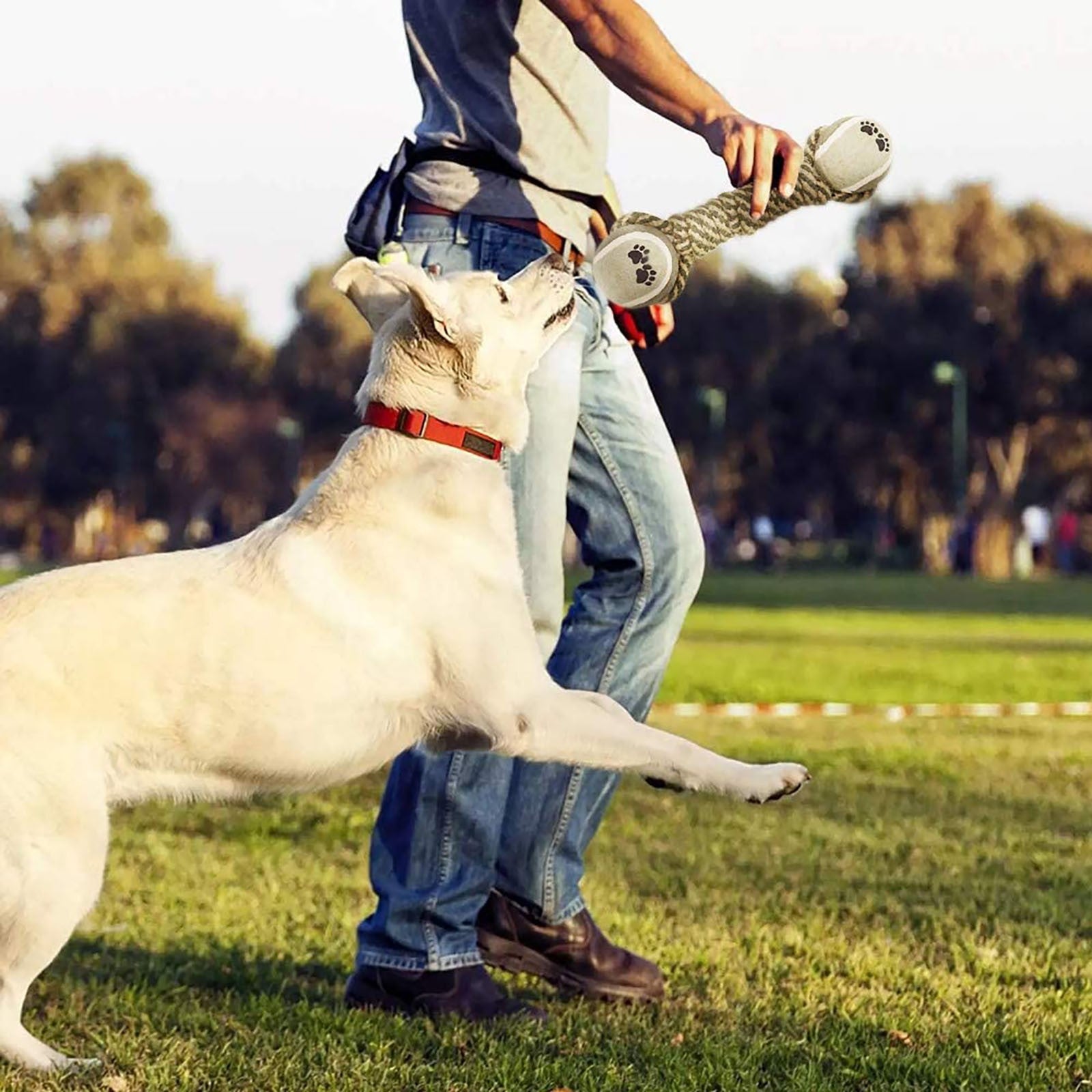 Dog Interactive Rope Toy - The Best Companions