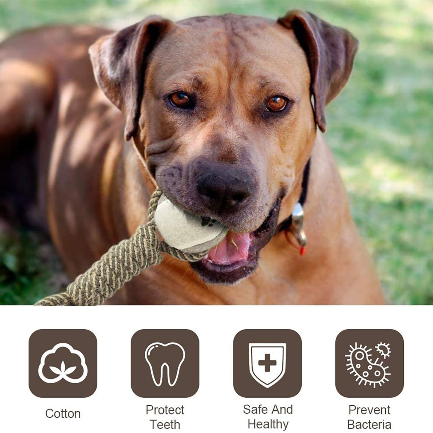 Dog Interactive Rope Toy - The Best Companions