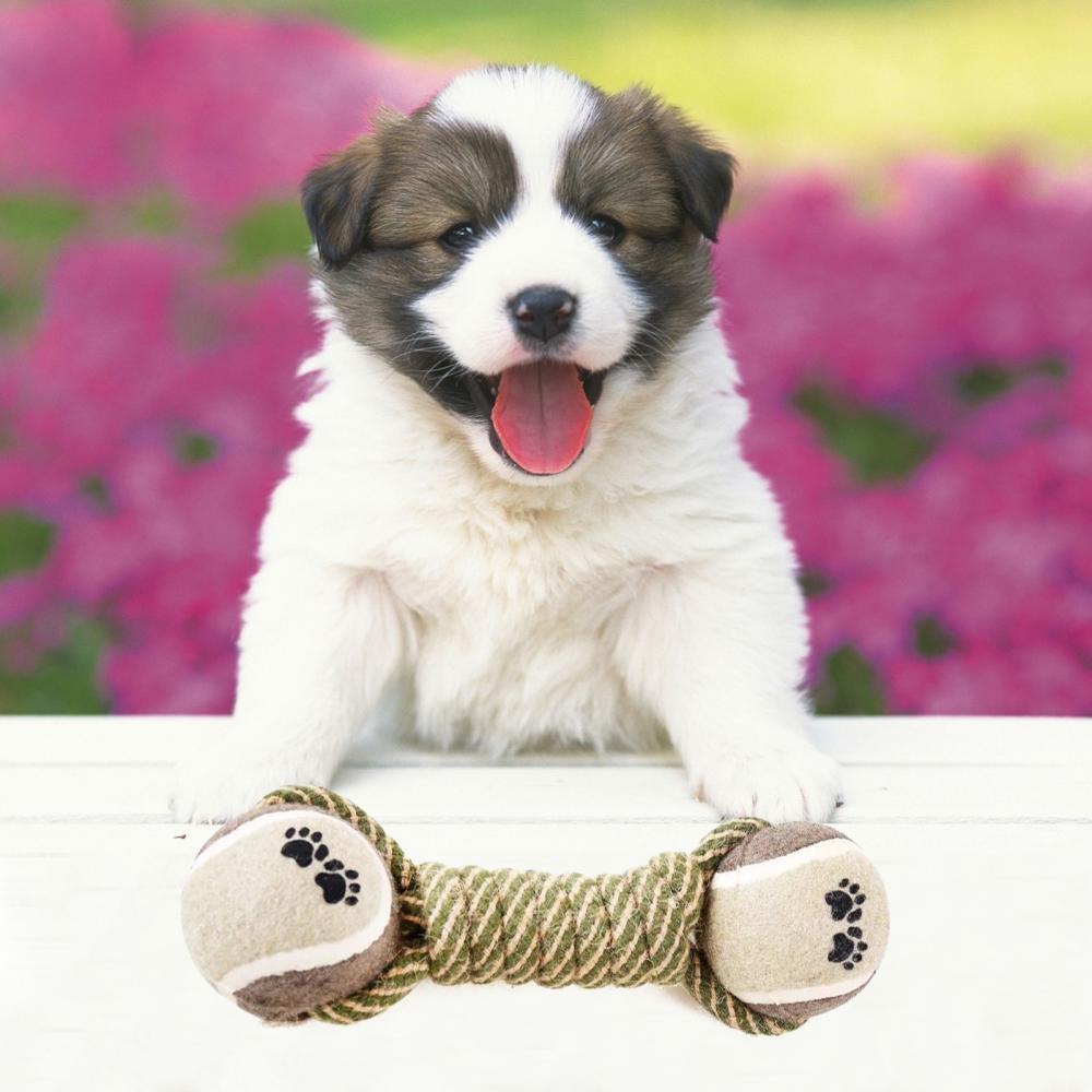 Dog Interactive Rope Toy - The Best Companions