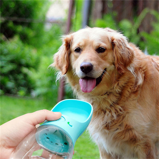 Pet Portable Water Bottle - The Best Companions