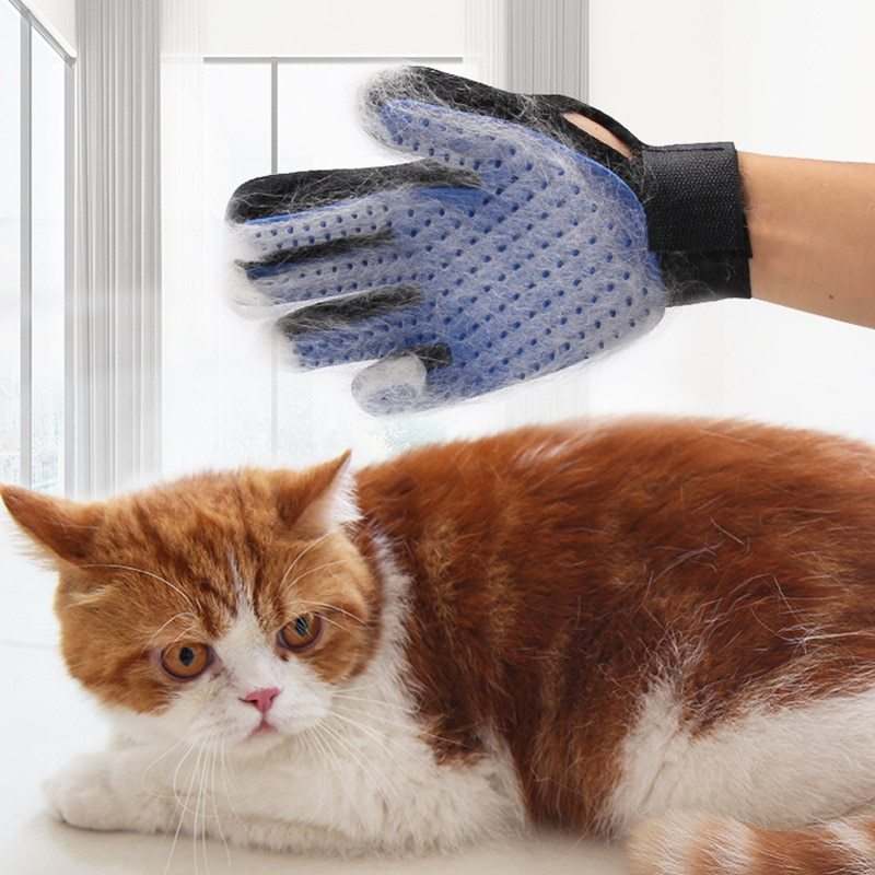 Amazing Grooming Glove - The Best Companions