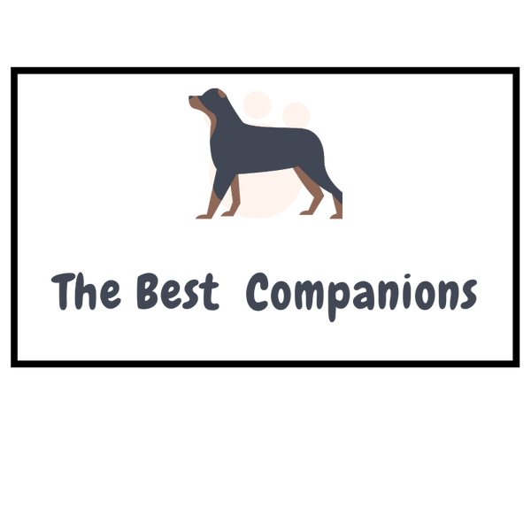 The Best Companions