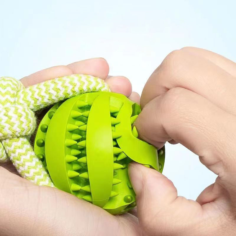 Bite Resistant Toy Ball For Pet - The Best Companions