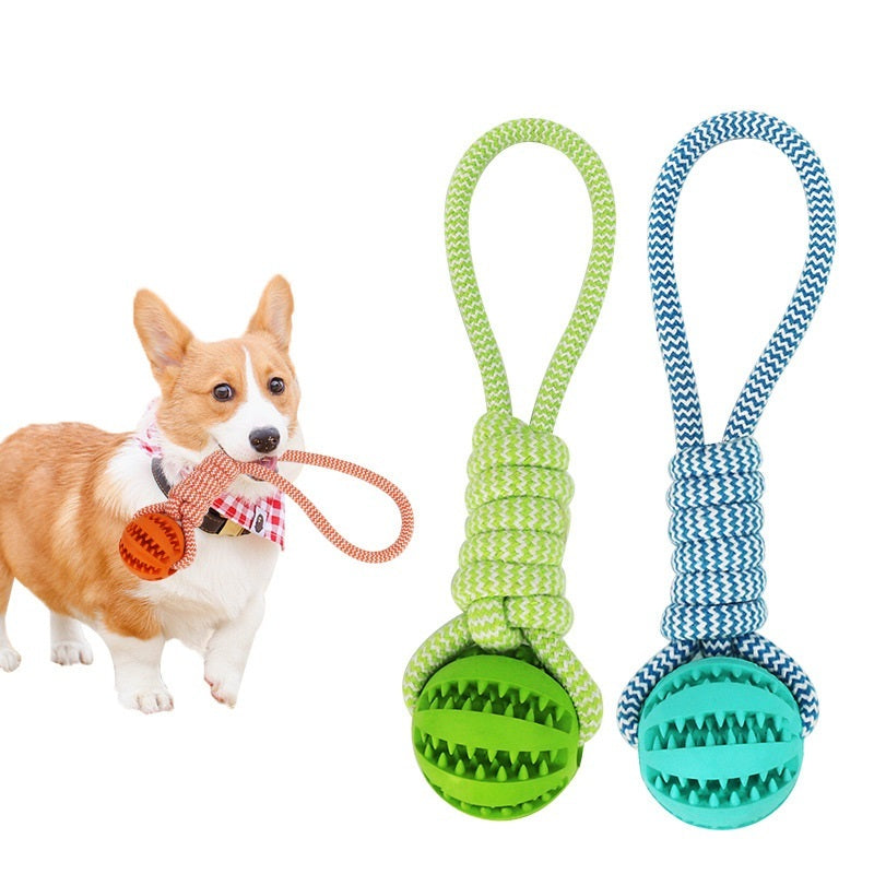 Bite Resistant Toy Ball For Pet - The Best Companions